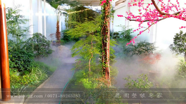 這樣的室內(nèi)庭院，簡直讓我尖叫！